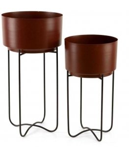 Eurofirany WY / FLOWER / 206 SET BROWN + CZAR / X2