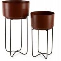 Eurofirany WY / FLOWER / 206 SET BROWN + CZAR / X2 Eurofirany WY / FLOWER / 206 SET BROWN + CZAR / X2