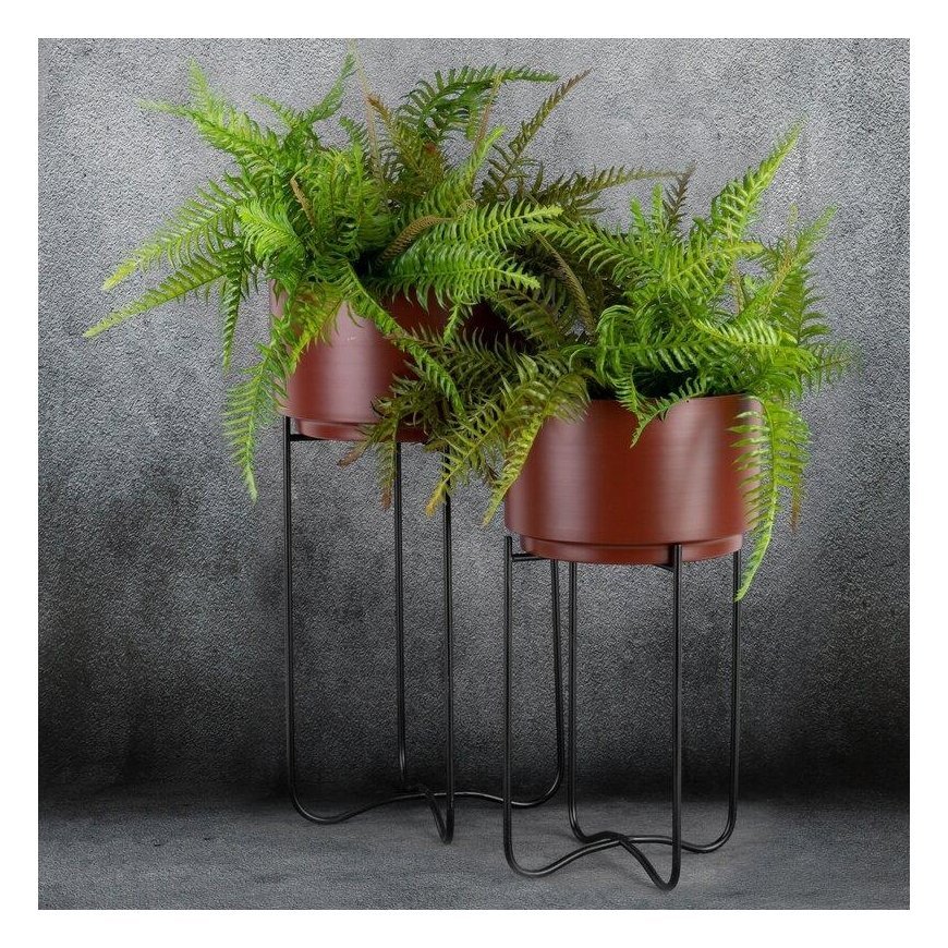Eurofirany WY / FLOWER / 206 SET BROWN + CZAR / X2 – 2