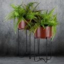 Eurofirany WY / FLOWER / 206 SET BROWN + CZAR / X2 Eurofirany WY / FLOWER / 206 SET BROWN + CZAR / X2
