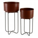 Eurofirany WY / FLOWER / 206 SET BROWN + CZAR / X2 Eurofirany WY / FLOWER / 206 SET BROWN + CZAR / X2