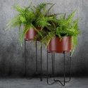 Eurofirany WY / FLOWER / 206 SET BROWN + CZAR / X2 Eurofirany WY / FLOWER / 206 SET BROWN + CZAR / X2