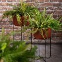 Eurofirany WY / FLOWER / 206 SET BROWN + CZAR / X2 Eurofirany WY / FLOWER / 206 SET BROWN + CZAR / X2