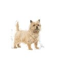 Royal Canin Mini Light Weight Care 3 kg Suaugusių Daržovių Royal Canin Mini Light Weight Care 3 kg Suaugusių Daržovių