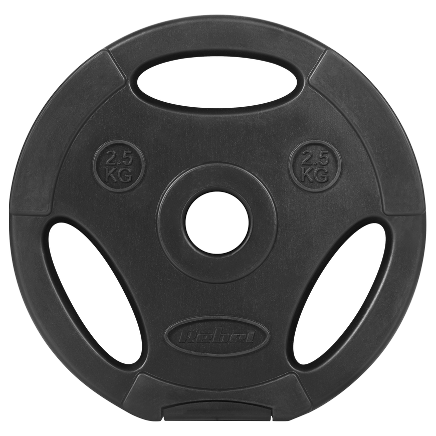 Bituminių svarelių rinkinys 4x2.5kg, skylė 31mm, plokštė su rankenomis, REBEL ACTIVE – 3