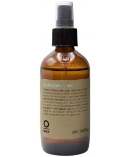 Oway Phytoprotein Mist phytoprotein hair mist 160ml