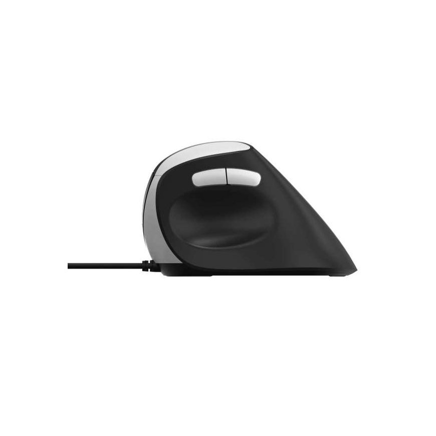Rapoo EV200 mouse Office Right-hand USB Type-A Optical 1600 DPI