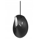Rapoo EV200 mouse Office Right-hand USB Type-A Optical 1600 DPI Rapoo EV200 mouse Office Right-hand USB Type-A Optical 1600 DPI