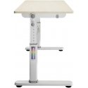 Spacetronik XD SPE-X103WL adjustable table 120x60 Spacetronik XD SPE-X103WL adjustable table 120x60