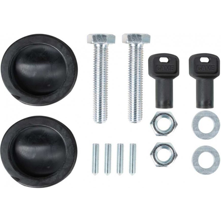 Set CAME BXV 10 PLUS TOP 1000kg for sliding gates (8K01MS-043) – 2