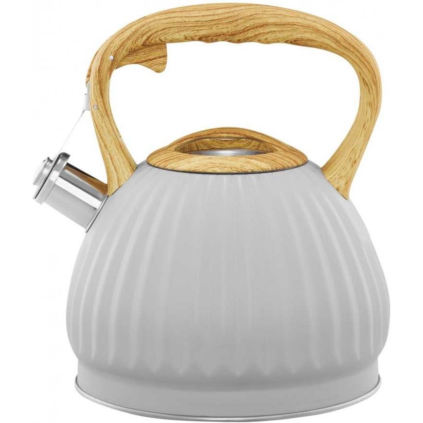 Kettle na indukcję For curly hair 2.5 l gray AMBITION