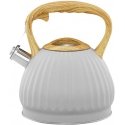 Kettle na indukcję For curly hair 2.5 l gray AMBITION