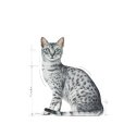 Royal Canin Indoor Sterilized 85 g Royal Canin Indoor Sterilized 85 g