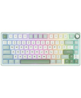 Royal Kludge RK R75 Silver Switches Skycyan Gaming keyboard in white color