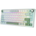 Royal Kludge RK R75 Sidabrinis Switches Skycyan Žaidimų klaviatūra baltos spalvos Royal Kludge RK R75 Sidabrinis Switches Skycyan Žaidimų klaviatūra baltos spalvos