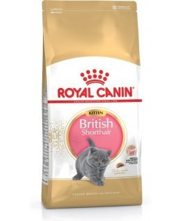 Royal Canin British Shorthair Kitten kissojen kuivamuona 2 kg Kissanpentu Siipikarja, Riisi, Vihanne