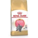 Royal Canin British Shorthair Kitten sausā barība kaķiem 2 kg Kaķēns Putnu gaļa, Rīsi, Dārzeņiem Royal Canin British Shorthair Kitten sausā barība kaķiem 2 kg Kaķēns Putnu gaļa, Rīsi, Dārzeņiem