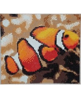 Beldizart Deimantų tapybos rinkinys „Žuvys klounas“ 20х18 cm AM1061