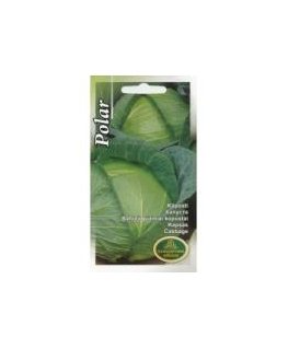 Polar box 460ml, grey