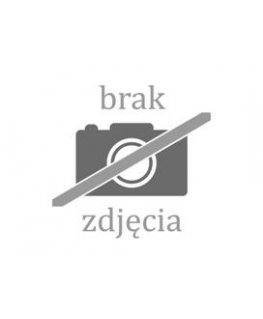 Baterija BLOW SUPER šarminė AA LR6
