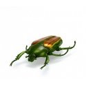 HEX BOTS Interactive nano creatures, 5 pcs.