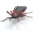 HEX BOTS Interaktyvūs nano gyviai, 5 vnt. HEX BOTS Interaktyvūs nano gyviai, 5 vnt.