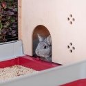 Ferplast Krolik 140 Plus Rabit Pelēks, Sarkans Ferplast Krolik 140 Plus Rabit Pelēks, Sarkans