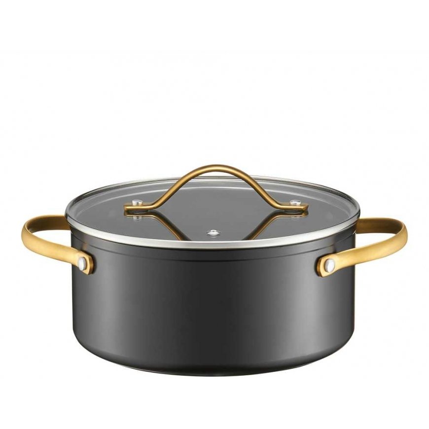 Ambition Aluminum pot with lid Royal