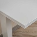 Spacetronik Blat desk universal 120x60x1.8 cm White Spacetronik Blat desk universal 120x60x1.8 cm White