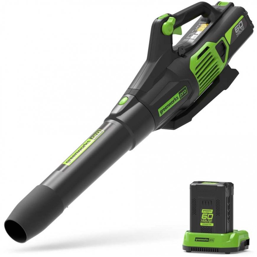 Greenworks Cordless leaf blower Greenworks GD60ABK4