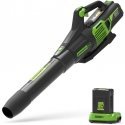 Cordless leaf blower Greenworks GD60ABK4 60 V 1x4.0 Ah battery.