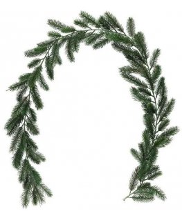 Winteria Pine crown thickness 180 cm