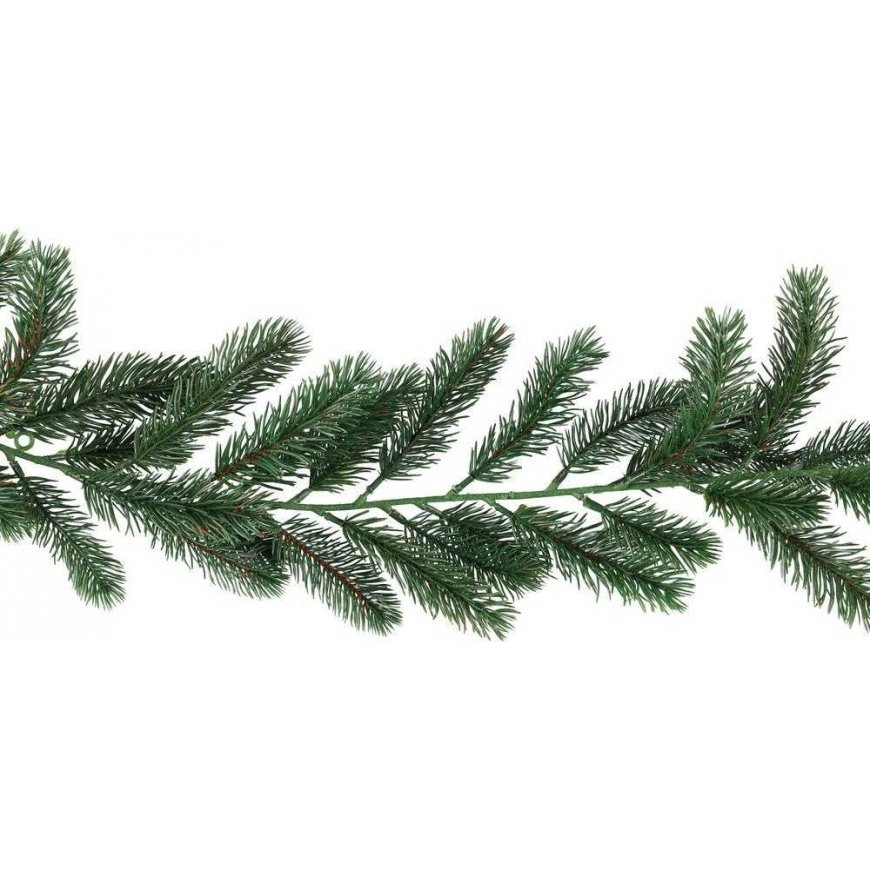 Winteria Pine crown thickness 180 cm – 2