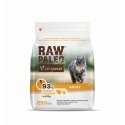 RAW PALEO Adult Cat Sterilized Game - mitrā kaķu barība - 100 g RAW PALEO Adult Cat Sterilized Game - mitrā kaķu barība - 100 g