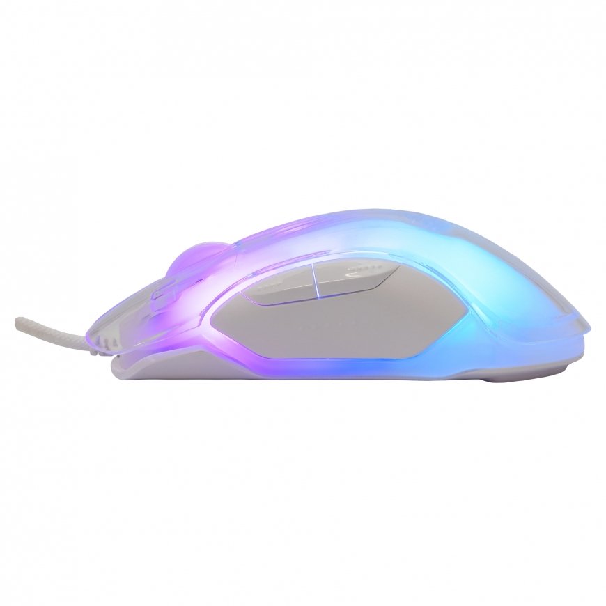 White Shark GM-5017 Mordred White – 3
