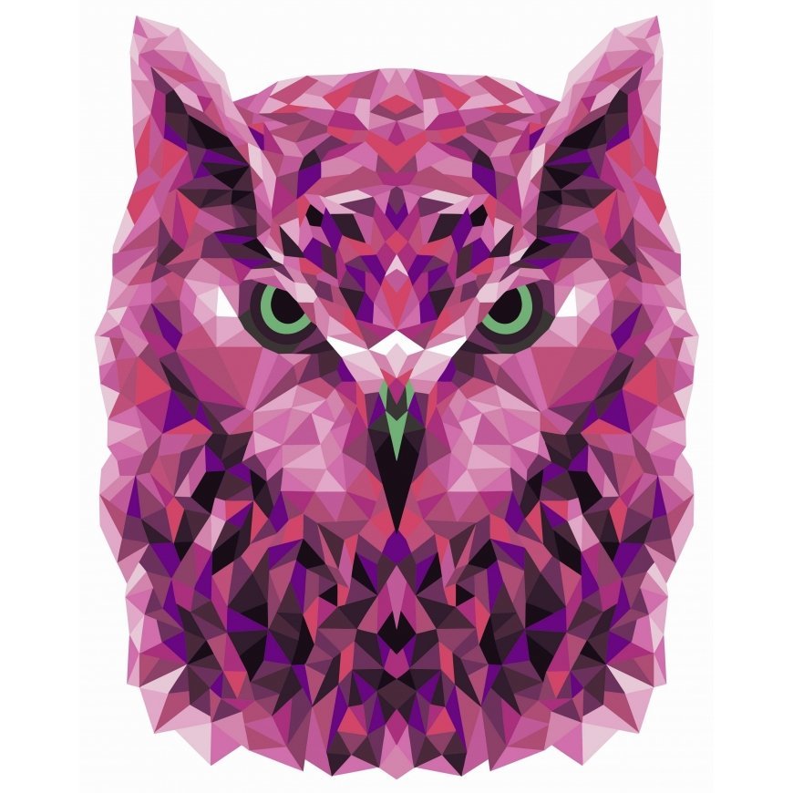 Beldizart Paint by numbers kit. P002 Owl (polygonal style) 40*50