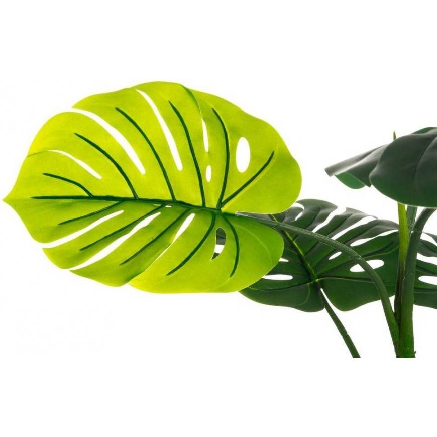 4Living Monstera 120 cm – 2