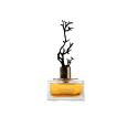 Aurora, Deciduous Summer, Eau De Parfum, For Women, 100 ml Aurora, Deciduous Summer, Eau De Parfum, For Women, 100 ml