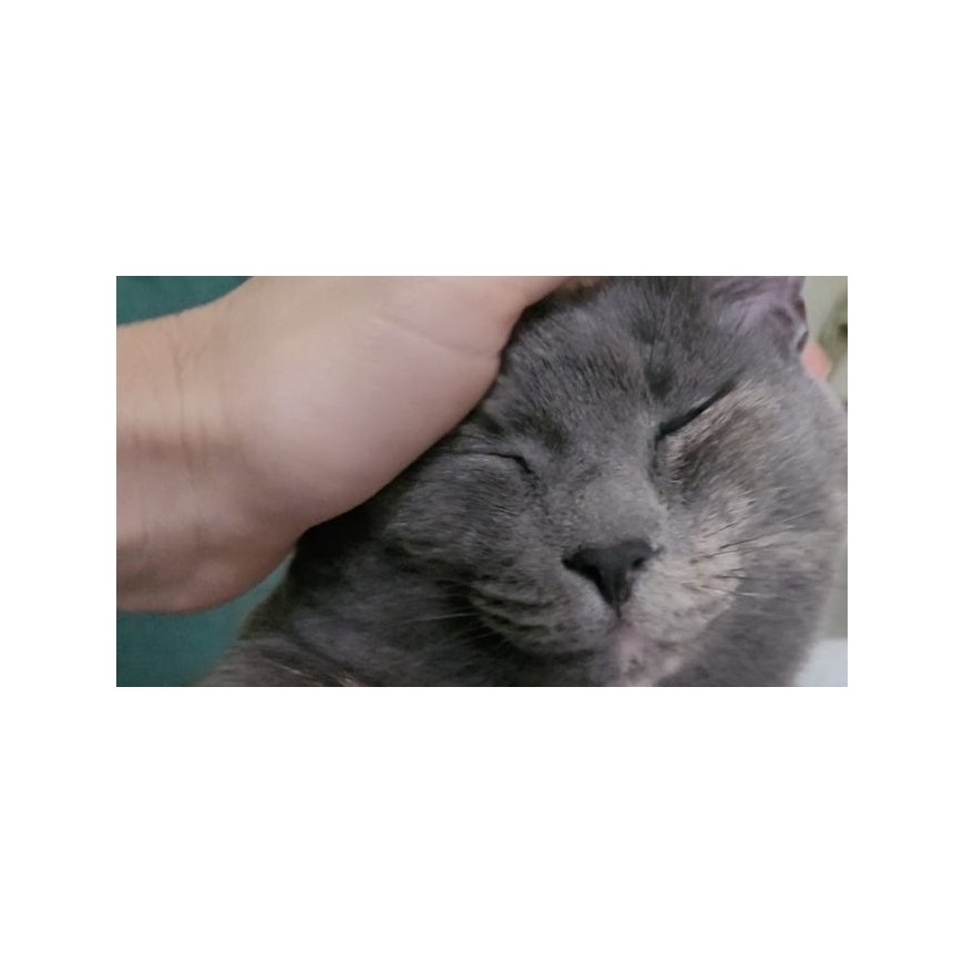 Countryside to Train: Couples