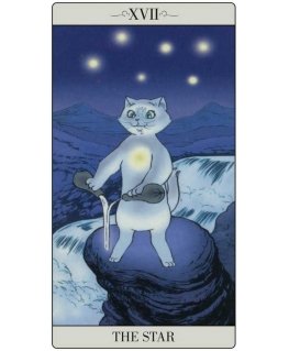 Lo Scarabeo The Way Jodorowsky Explained Tarot To His Cat Kortos