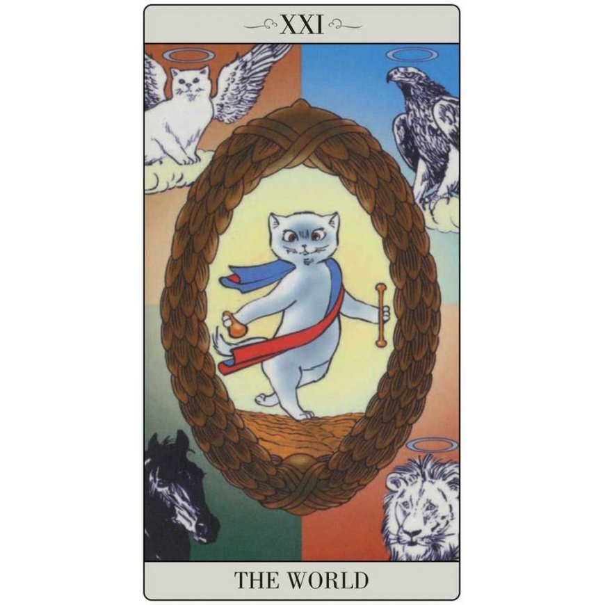 Lo Scarabeo The Way Jodorowsky Explained Tarot To His Cat Kortos – 3