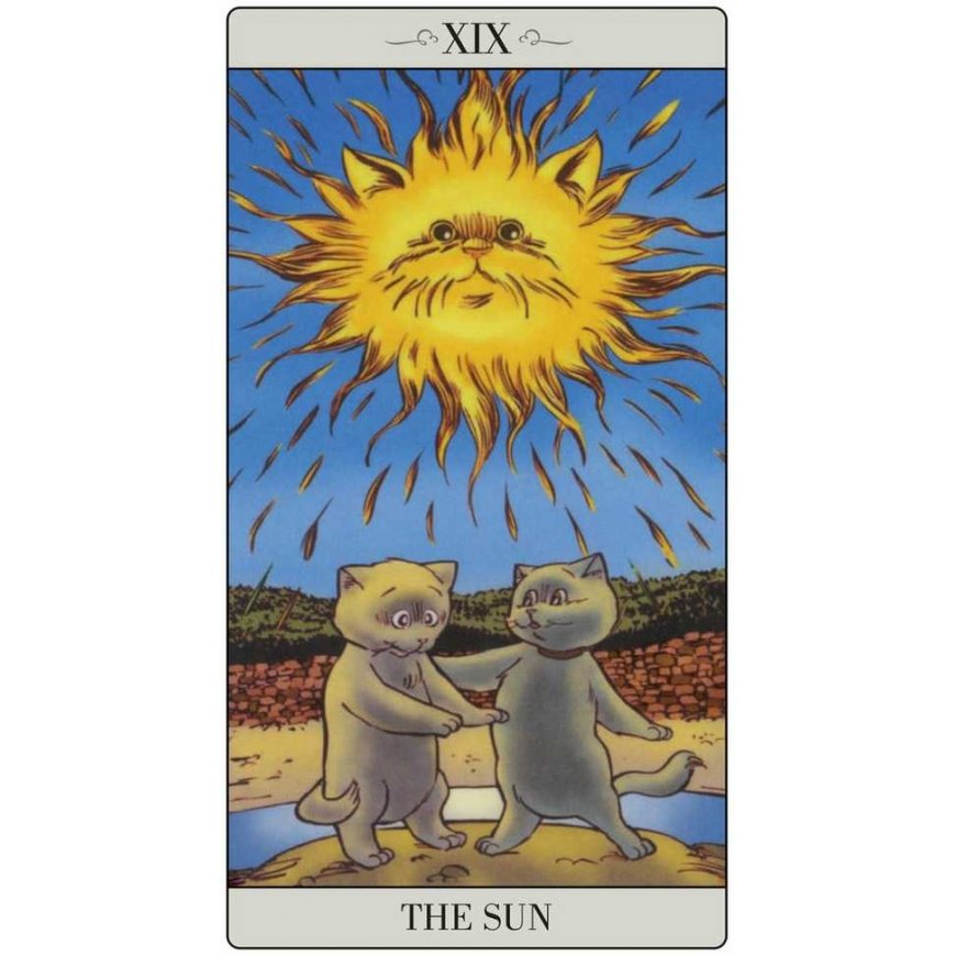 Lo Scarabeo The Way Jodorowsky Explained Tarot To His Cat Kortos – 4