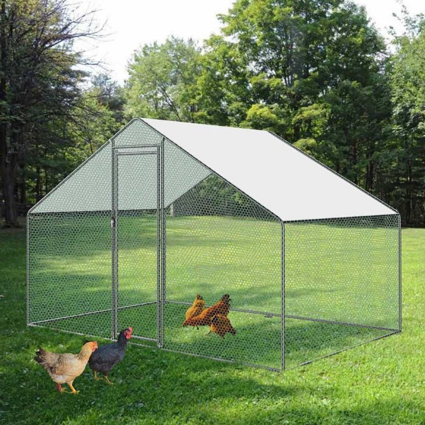 Wiesenfield Aviary, pen, cage for chickens and chickens, 309x200x205cm – 3
