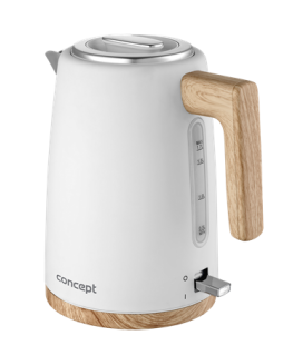 Electric kettle RK3315
