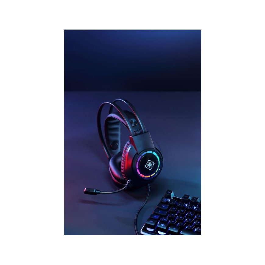DH220 USB stereo žaidimų ausinės DELTACO GAMING, RGB, juodos / GAM-168 / 4222325 – 2