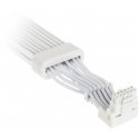 Kolink Kolink Umbra Radiant ARGB 12V-2x6 to 12V-2x6 Cable Kolink Kolink Umbra Radiant ARGB 12V-2x6 to 12V-2x6 Cable