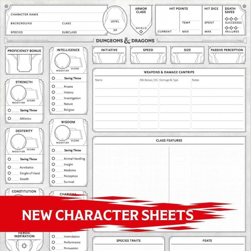 Wizards of the Coast Dungeons & Dragons Character Sheets 2024 – 3