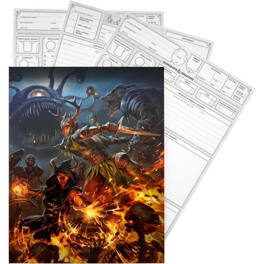 Wizards of the Coast Dungeons & Dragons Character Sheets 2024 – 4