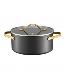 Aluminum pot with lid Royal 20 cm 2.8 l AMBITION