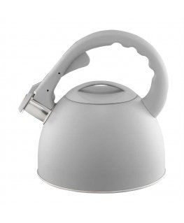 Kettle with whistle Gris 2.5 l gray AMBITION